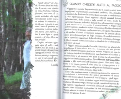 Incontri con lo Spirito degli Alberi
