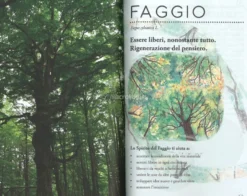 Incontri con lo Spirito degli Alberi