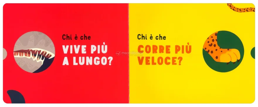 Indovina Chi è il Più...?