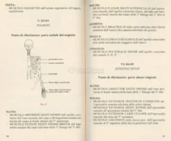 Iniziazione alla Microkinesiterapia