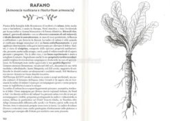 In Salute con Radici e Cortecce