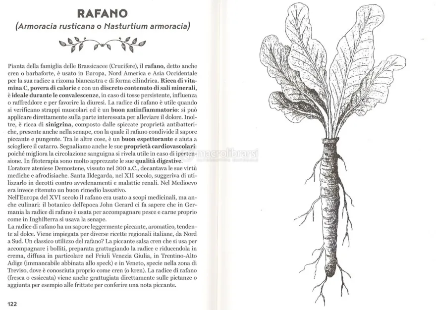 In Salute con Radici e Cortecce