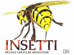 Insetti