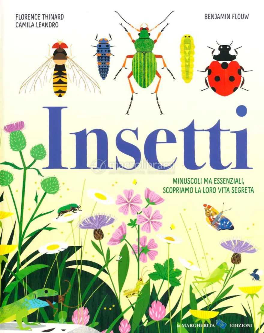 Insetti