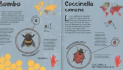 Insetti a Grandezza Naturale
