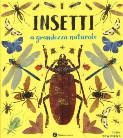 Insetti a Grandezza Naturale