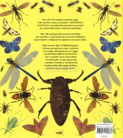 Insetti a Grandezza Naturale