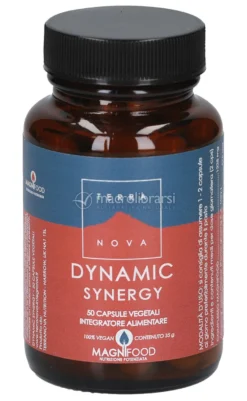 Integratore Dynamic Synergy