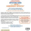 Intestino Sano con la Dieta dei Carboidrati Specifici (SCD)