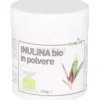 Inulina Bio in Polvere