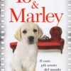 Io & Marley