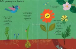 I Piccoli Segreti della Natura