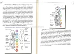 Ipnosi Bioenergetica Olistica Emozionale