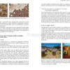 I Prodotti dell' Alveare