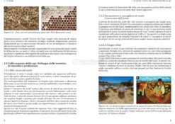 I Prodotti dell' Alveare