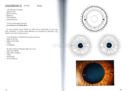 Iridologia del Profondo e Iridologia Proiettata nella Dimensione Spazio-Temporale