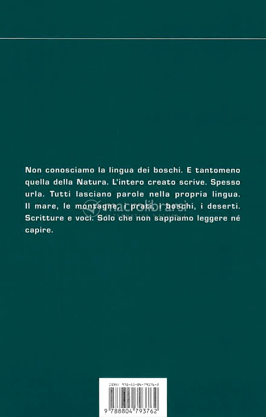 I Sentieri degli Aghi di Pino