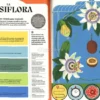 I Superpoteri delle Piante