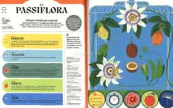 I Superpoteri delle Piante