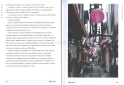 Japonisme