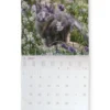 Kittens 2027 - Calendario Da Parete (161853)