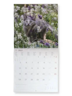 Kittens 2027 - Calendario Da Parete (161853)