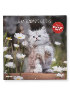 Kittens 2027 - Calendario Da Parete (161853)