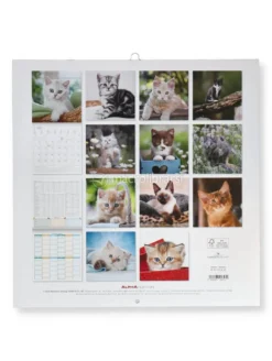Kittens 2027 - Calendario Da Parete (161853)