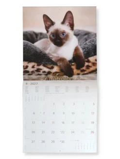 Kittens 2027 - Calendario Da Parete (161853)