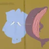 La Biblioteca degli Animali di Tatsu Nagata - L' Elefante