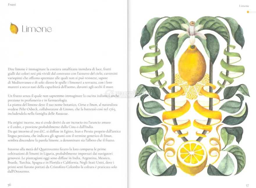 La Botanica dei Profumi