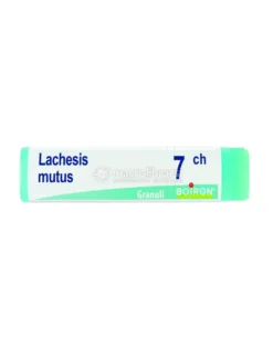 Lachesis Mutus 7CH Globuli Monodose Boiron