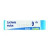 Lachesis Mutus 9CH Globuli Monodose Boiron