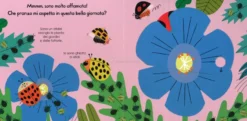 La Coccinella