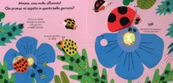 La Coccinella