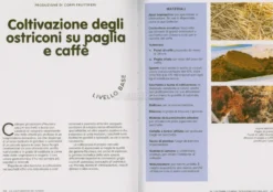 La Coltivazione dei Funghi