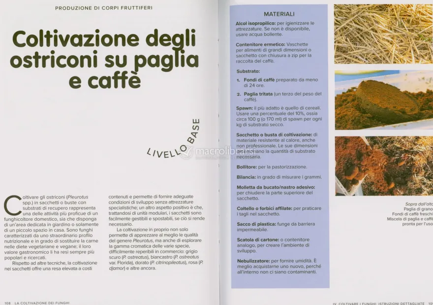 La Coltivazione dei Funghi