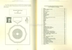 L'Acqua e la Terapia Radionica