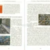 La Cura della Natura è la Cura di Sé