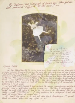 Lady Cottington's - Fairy Album