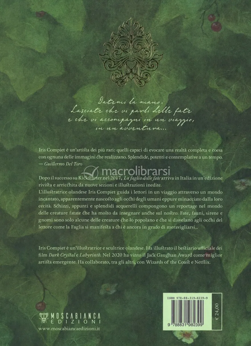 La Faglia delle Fate