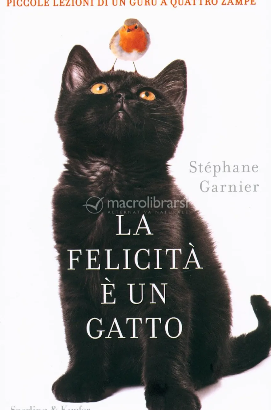 La Felicità è un Gatto