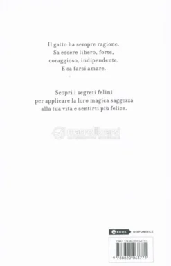 La Felicità è un Gatto