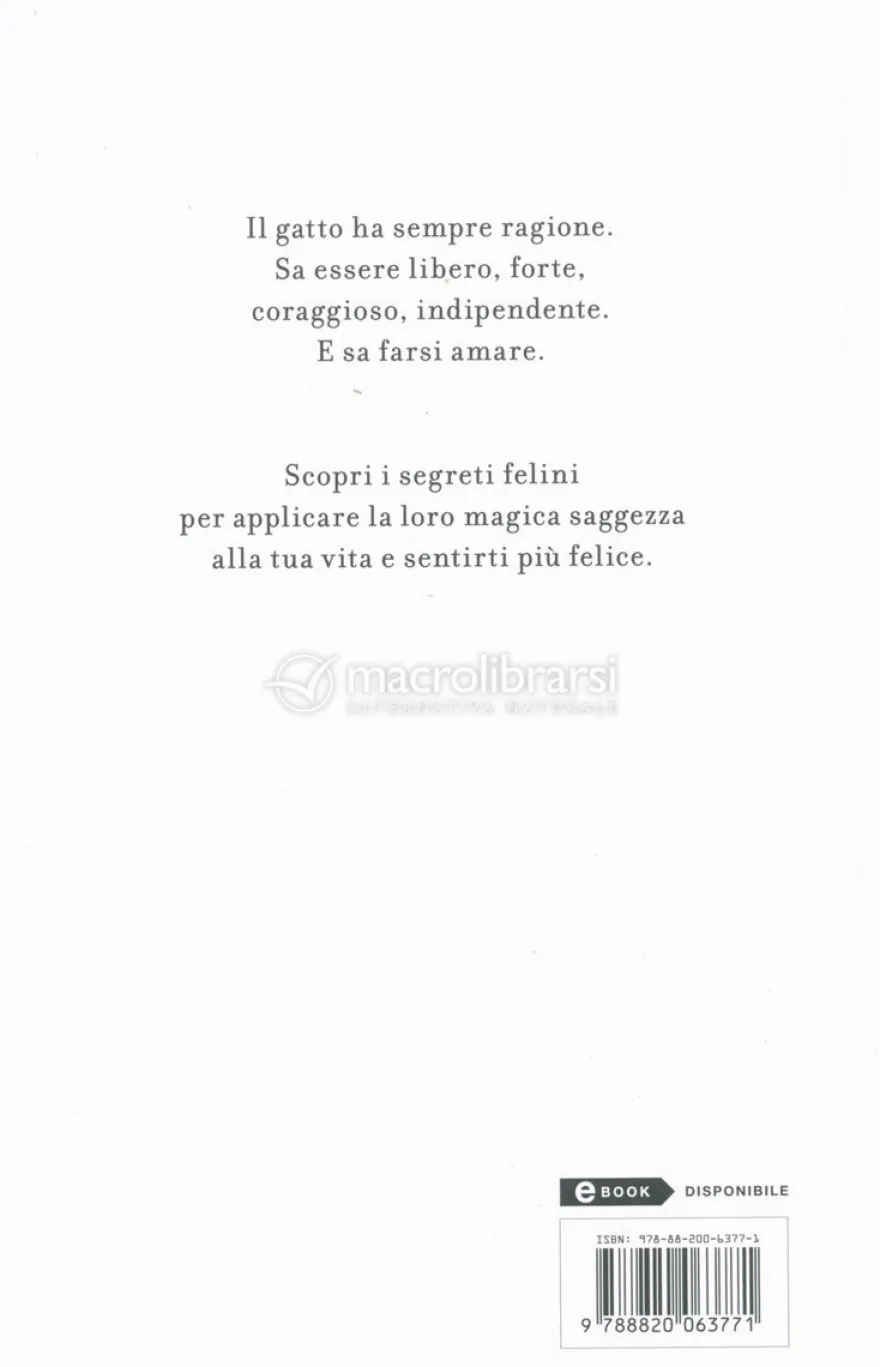 La Felicità è un Gatto
