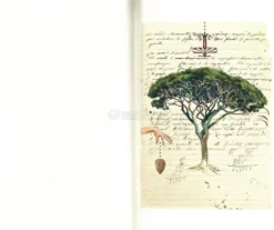 La Foglia di Fico