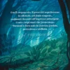 La Foresta