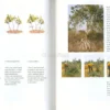 La Foresta Invisibile