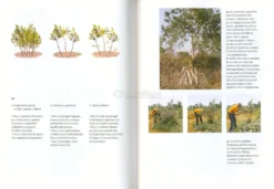 La Foresta Invisibile