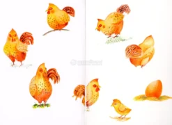La Gallina di Sofia
