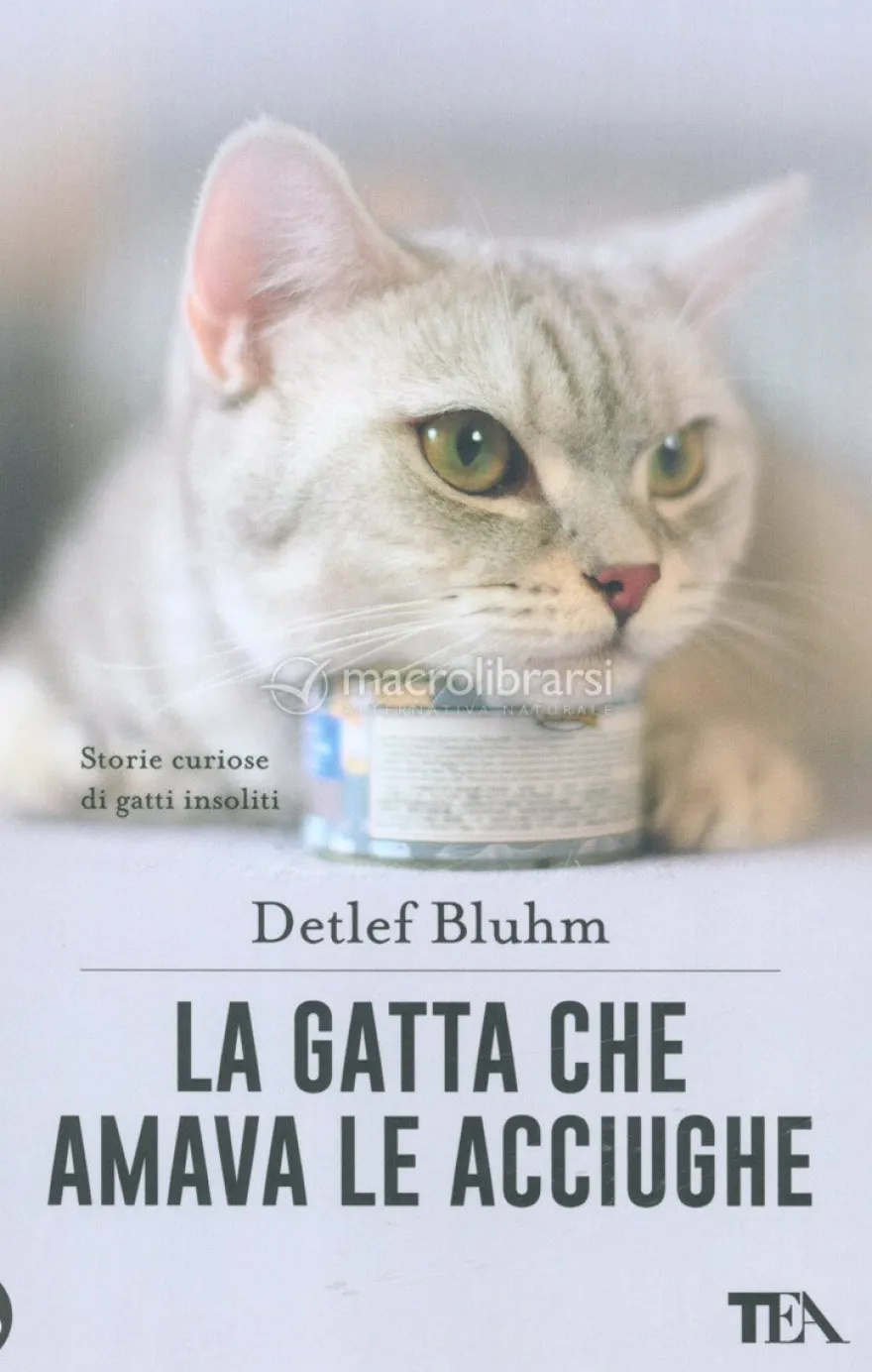 La Gatta che Amava le Acciughe